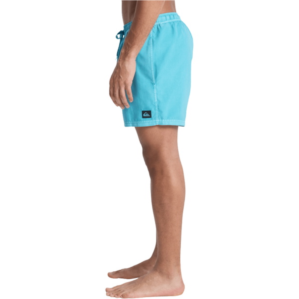 2026 Quiksilver Männer Everyday Surfwash Volley 15
